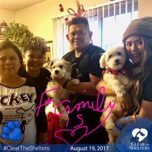 Meet your Posher, Alexandra